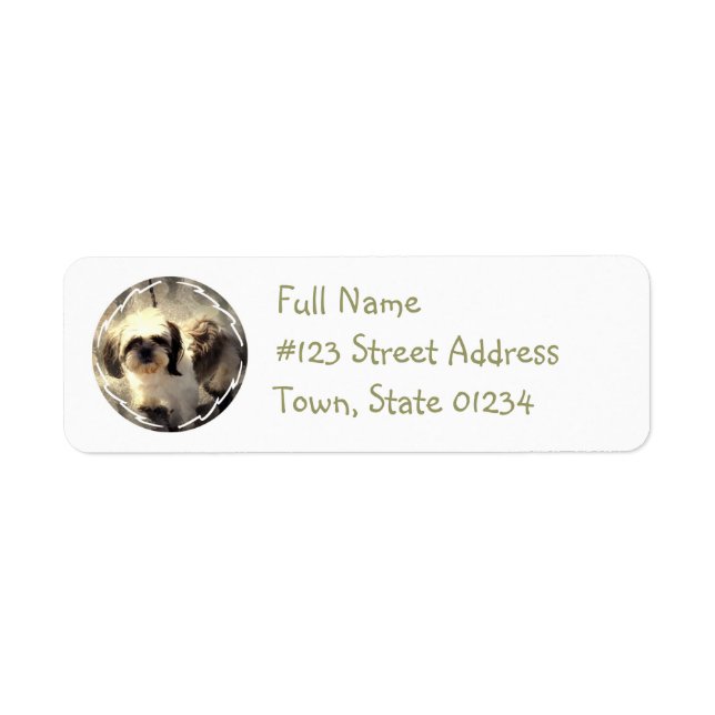 Shih Tsu-Hund returadressetikett Returadress Etikett (Framsidan)