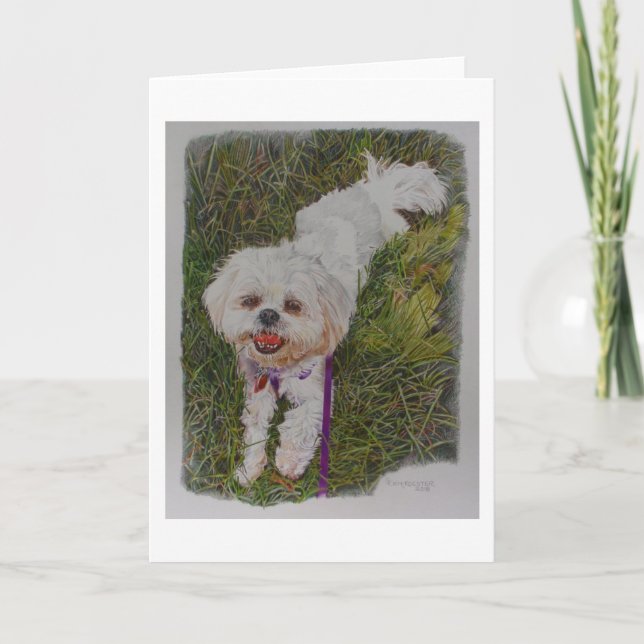 Shih Tzh, en Rädding hund vid namn Spirit Kort (Framsida)