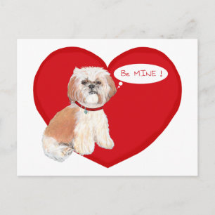 Shih Tzu Alla hjärtans dag Helg Vykort