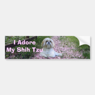 Shih Tzu älskar bildekalet Bildekal