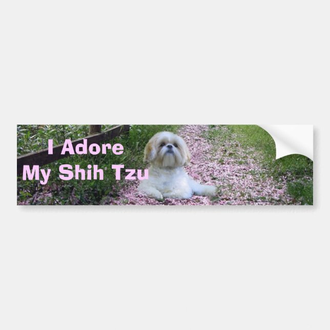 Shih Tzu älskar bildekalet Bildekal (Framsidan)