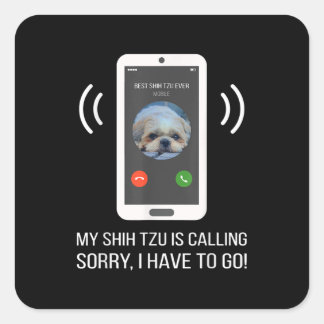 Shih Tzu Älskare | Funny Shih Tzu Hund Fyrkantigt Klistermärke