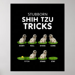 Shih Tzu Älskare Funny Shih Tzu Trick Hund Kär Poster
