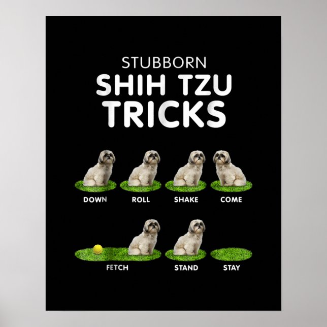 Shih Tzu Älskare | Funny Shih Tzu Trick Hund Kärle Poster (Framsidan)