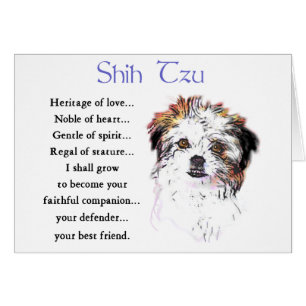 Shih Tzu Älskare Gifts Hälsningskort
