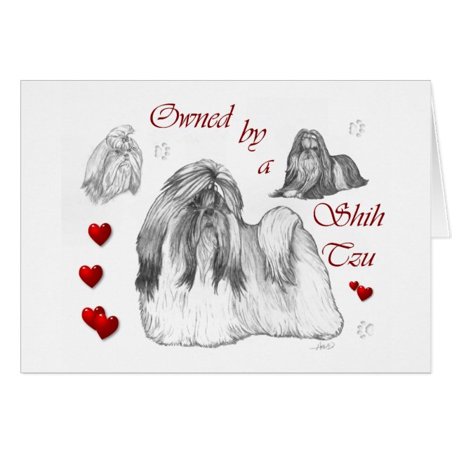 Shih Tzu Älskare Gifts Hälsningskort (Framsidan Horizontal)