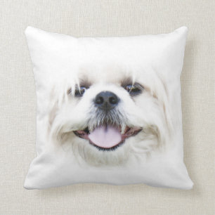 Shih Tzu ansikte Kudde