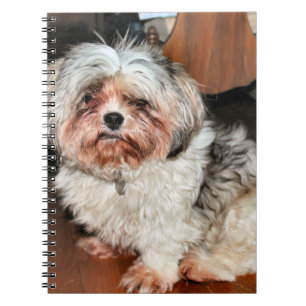 Shih Tzu Anteckningsbok