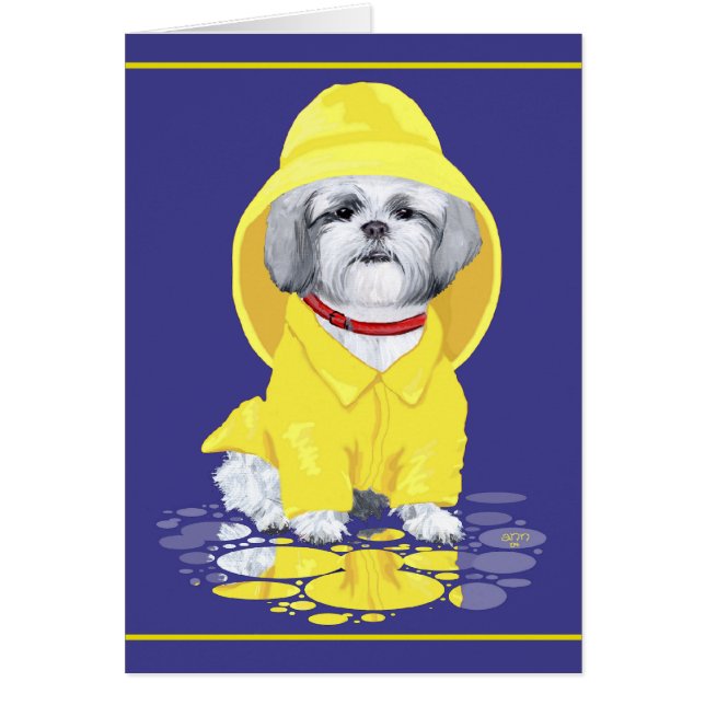 Shih Tzu April Showers Hälsningskort (Framsidan)
