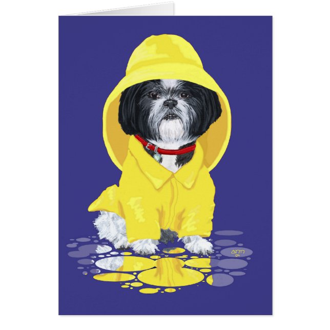 Shih Tzu April Showers Hälsningskort (Framsidan)