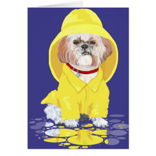 Shih Tzu April Showers Hälsningskort