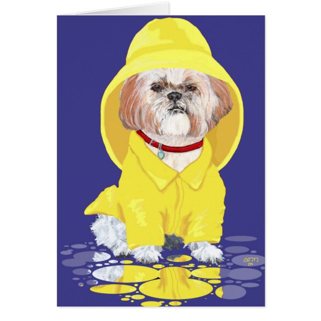 Shih Tzu April Showers Hälsningskort (Framsidan)