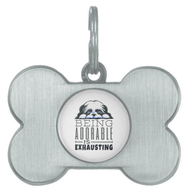 Shih Tzu är beklaglig ID-bricka Husdjur (Framsidan)