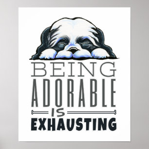Shih Tzu är beklaglig Poster