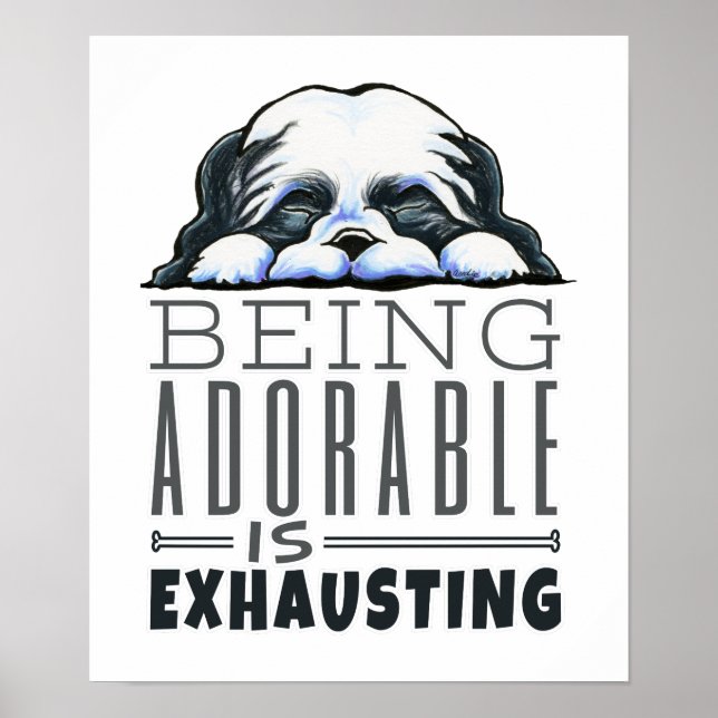 Shih Tzu är beklaglig Poster (Framsidan)