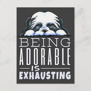 Shih Tzu är beklaglig Vykort
