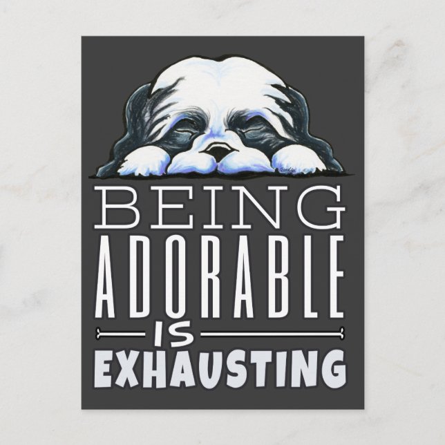 Shih Tzu är beklaglig Vykort (Framsida)