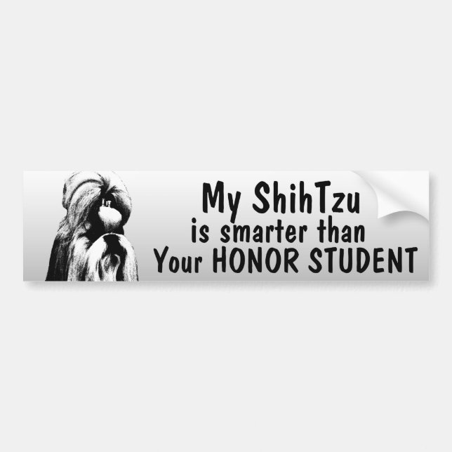 Shih Tzu är mer smart än den roliga hederstudenten Bildekal (Framsidan)