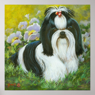 Shih Tzu Art-utskrift på arbetsytan Poster