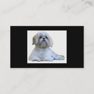 Shih Tzu avelsdjurvisitkort Visitkort