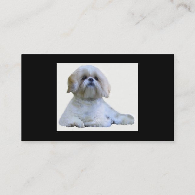 Shih Tzu avelsdjurvisitkort Visitkort (Framsida)