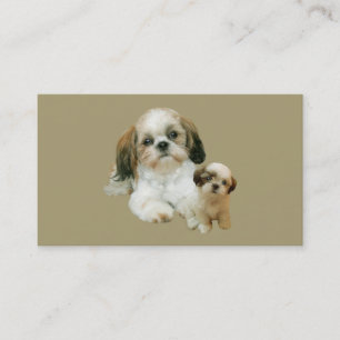 Shih Tzu avelsdjurvisitkort Visitkort