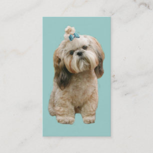 Shih Tzu avelsdjurvisitkort Visitkort