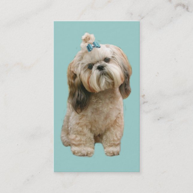 Shih Tzu avelsdjurvisitkort Visitkort (Framsida)