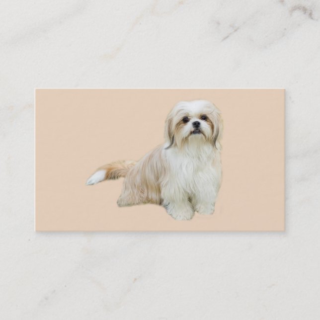 Shih Tzu avelsdjurvisitkort Visitkort (Framsida)