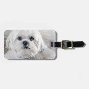 Shih Tzu Bagagebricka