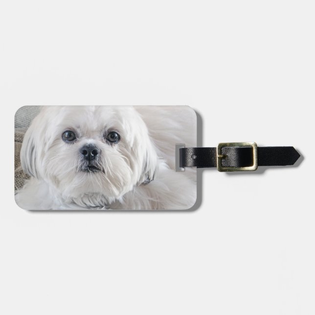 Shih Tzu Bagagebricka (Horisontell Framsida)