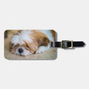 Shih Tzu Bagagebricka