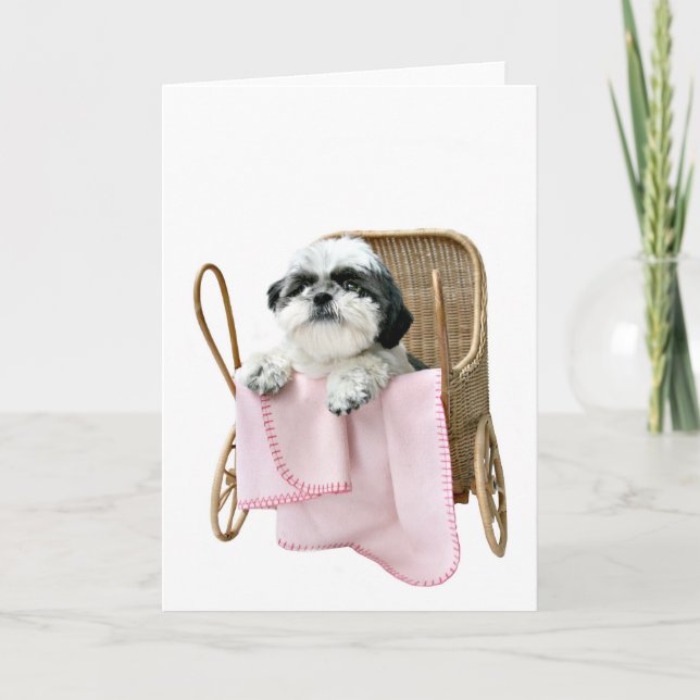 Shih Tzu barnvagn Kort (Framsida)
