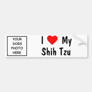 Shih Tzu Bildekal
