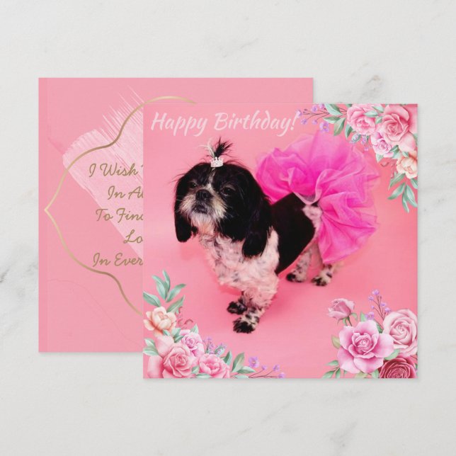Shih Tzu Birthday Julkort (Fram/baksida)