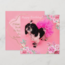 Shih Tzu Birthday Julkort