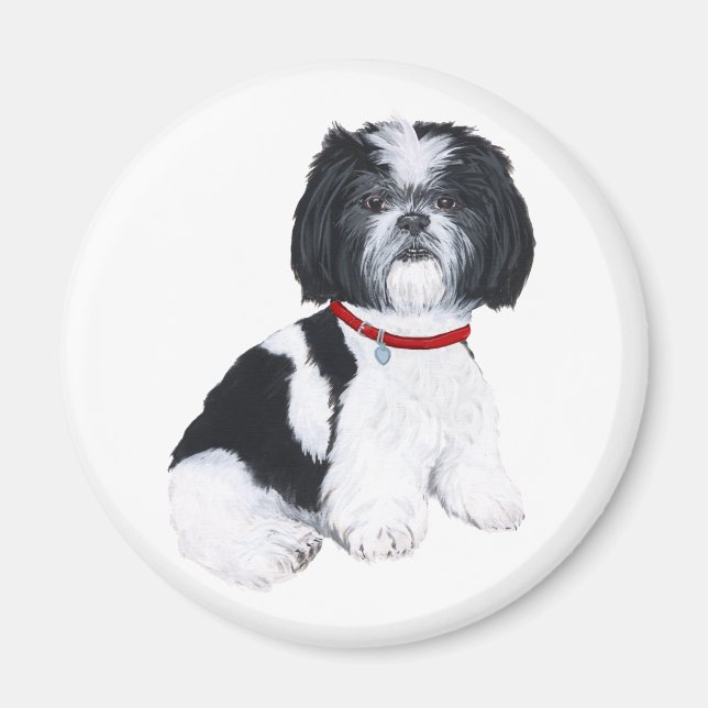 Shih Tzu Black & White Magnet (Framsidan)