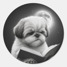 Shih Tzu Bok Reading