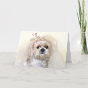 Shih Tzu Bride Kort
