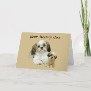 Shih Tzu Buddies Greeting Card Kort