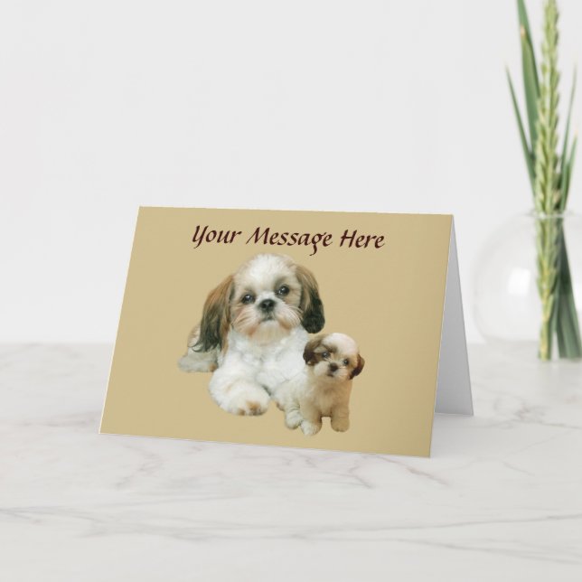 Shih Tzu Buddies Greeting Card Kort (Framsida)