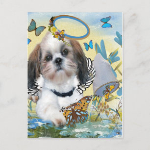Shih Tzu Butterfly Chaser Card Vykort