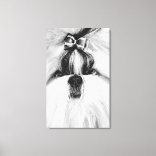 Shih Tzu Canvastryck