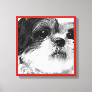 Shih Tzu Canvastryck