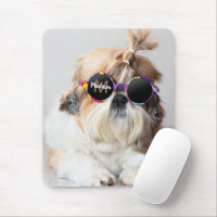 Shih Tzu Coola roligt söt solglasögon Photo Monogr
