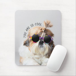 Shih Tzu Du är så Coola söt roligt Sunglasses Phot Musmatta