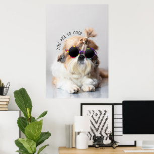 Shih Tzu Du är så Coola söt roligt Sunglasses Phot Poster