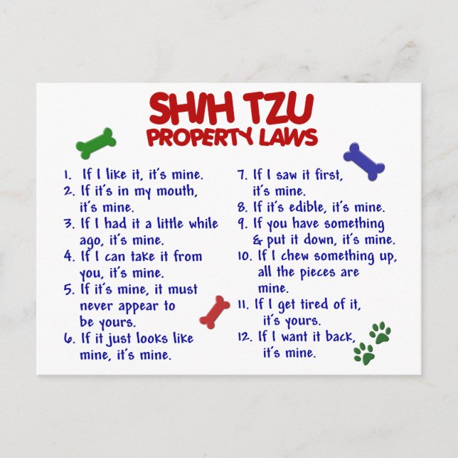 SHIH TZU Egendom Laws 2 Vykort (Framsida)
