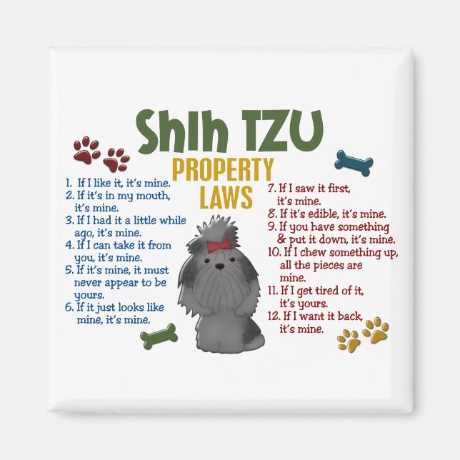 Shih Tzu Egendom Laws 4 Magnet (Framsidan)