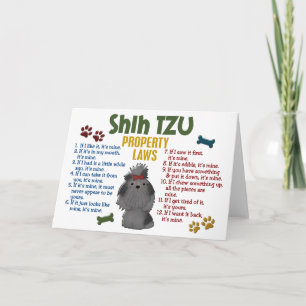 Shih Tzu egendomlagar 4 Kort